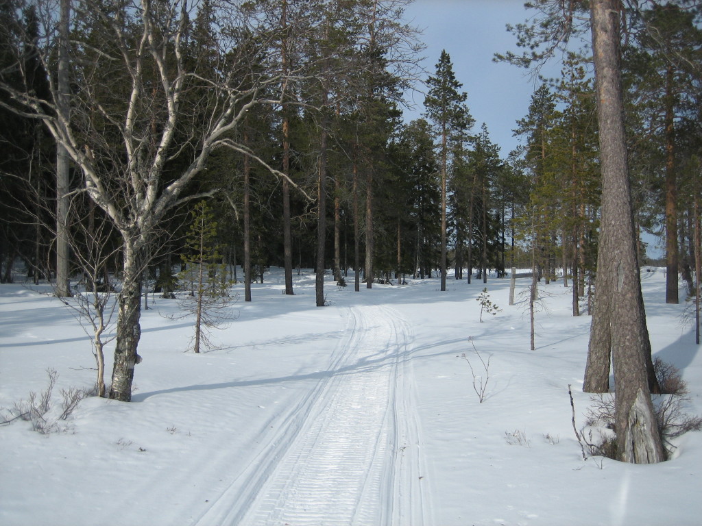 Αποτέλεσμα εικόνας για Lapland expected to have the busiest winter season of this decade