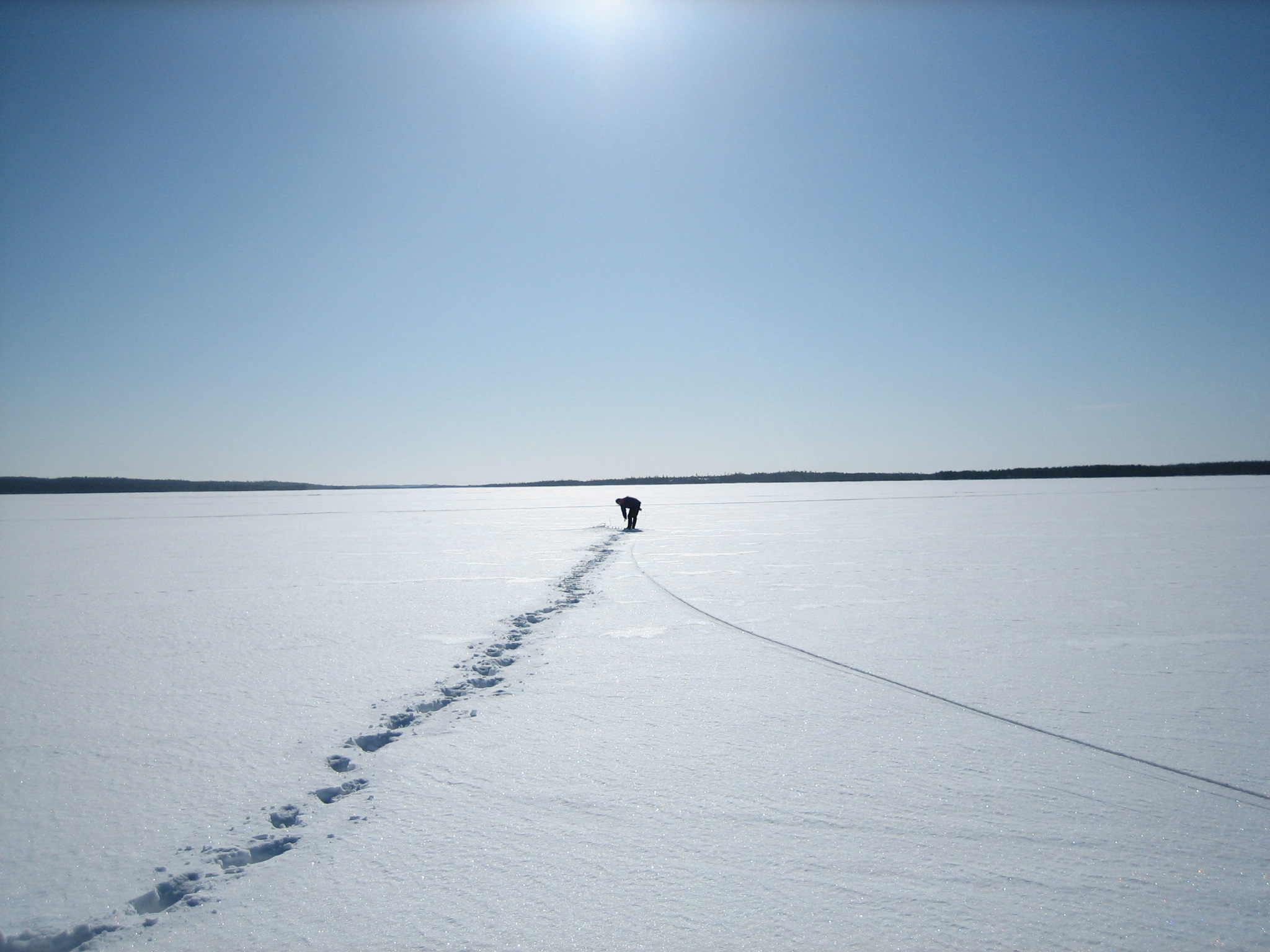 Winter Net Fishing in Lapland